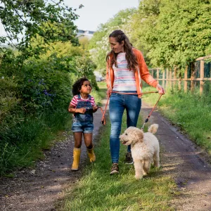 A Mother and Daughter Walk Their Labradoodle on a Country Road.